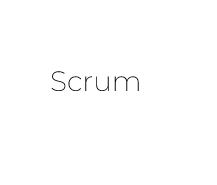 scrum skill